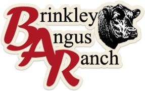 Brinkley Angus Ranch